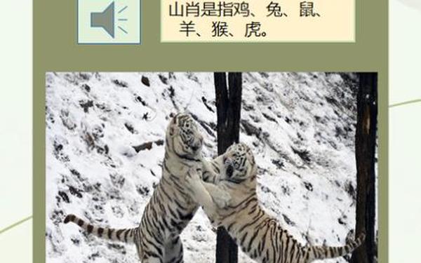 猴和虎在一起谁旺谁-92年猴98年虎百年难遇 猴和虎在一起谁旺谁-92年猴98年虎百年难遇