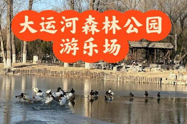运河文化公园儿童乐园、香河运河文化森林公园