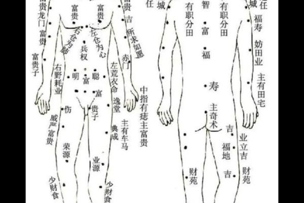 大腿内侧痣相;腿上长痣图解大全 女性 大腿内侧痣相;腿上长痣图解大全 女性