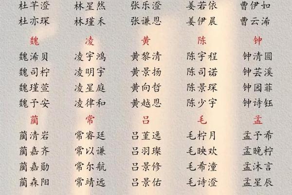 怎么在姓名处加姓名号