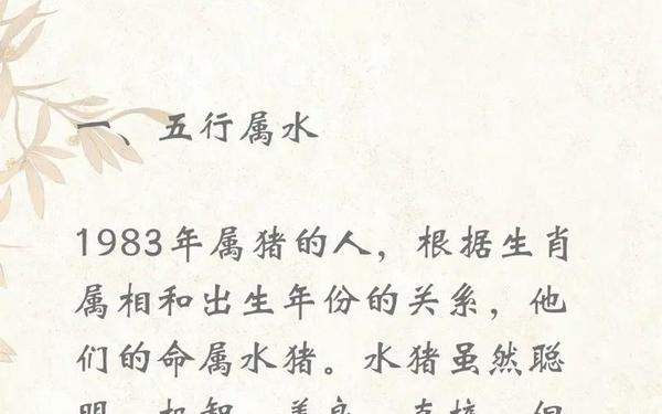 属猪都是几几年 属猪都是几几年