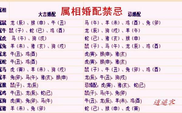 87属兔最佳婚配属相是什么(87年属兔的最佳婚配表) 87属兔最佳婚配属相是什么(87年属兔的最佳婚配表)