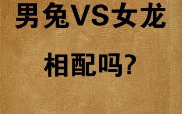 女兔和男龙其实非常配对 女兔和男龙其实非常配对