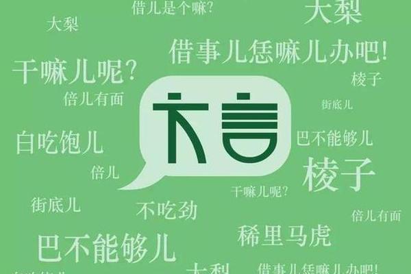 方言文化(方言文化的保护与传承)