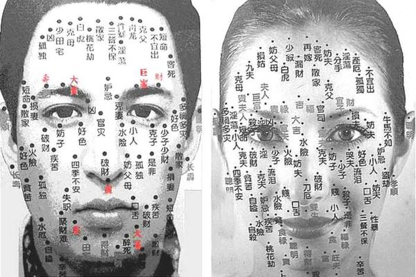 痣相男女图解大全大图-男人面部痣相最准图