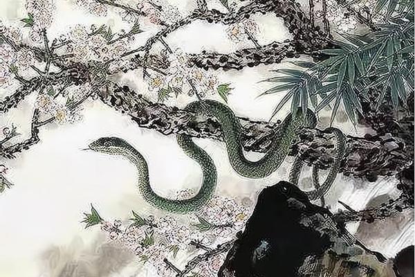 属牛和属蛇 97牛和01蛇千年一遇