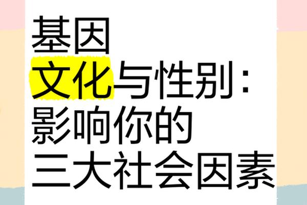 文化基因是什么意思、什么叫做基因