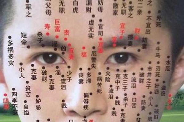 男人面相痣相大全图;男面相痣的图片大全高清