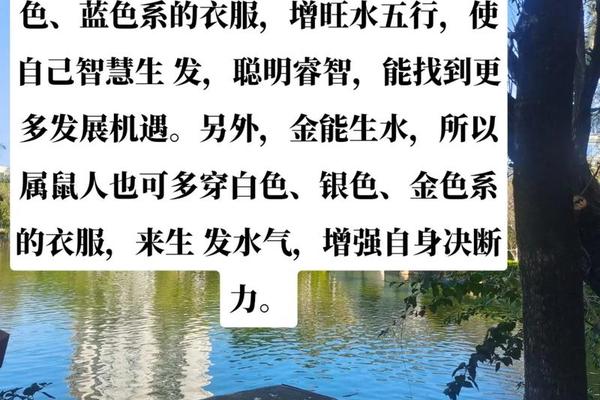 2020年属鼠的是什么命五行