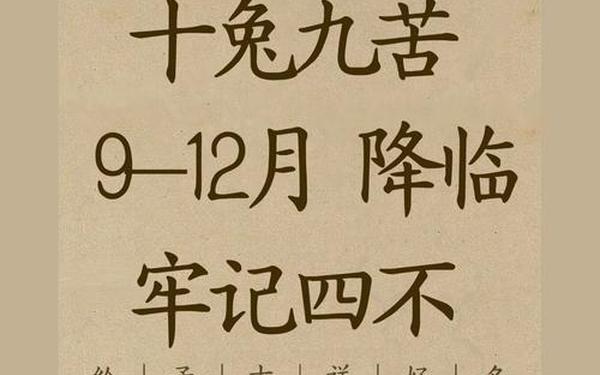 都说十兔九苦 都说十兔九苦