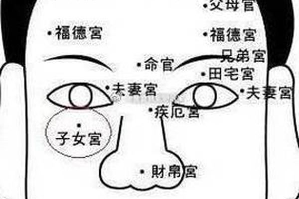 女人脸部痣相解图(泪痣的意思)