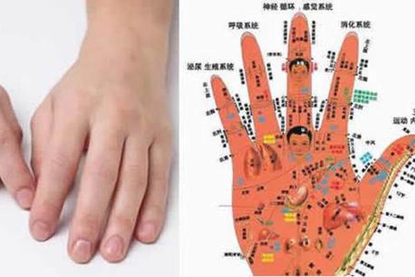 手上痣相解释;手上痣的位置与命运