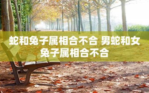 属兔和属蛇的婚配会怎么样 属兔和属蛇的婚配会怎么样