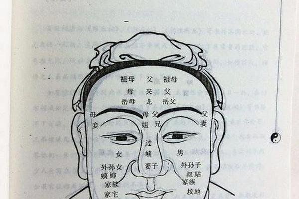 麦玲玲 痣相_麻衣神相女人面部痣相最准图