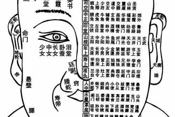 麻衣神相右太阳穴有痣—麻衣神相 痣
