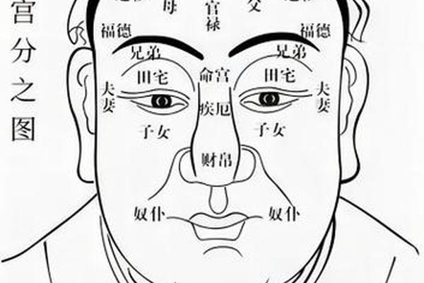 腮骨有痣图解麻衣神相-男人腮骨有痣好不好