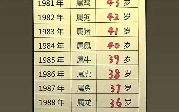 属猪哪年出生的年龄多大 95属猪的今年多大 属猪哪年出生的年龄多大 95属猪的今年多大