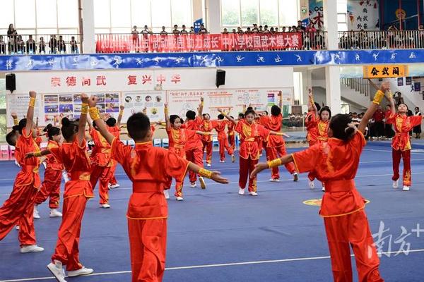 佛山武术文化介绍,武术的好处和意义