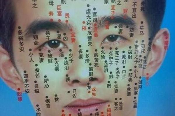鼻相有痣图解男人—男子鼻翼痣图解