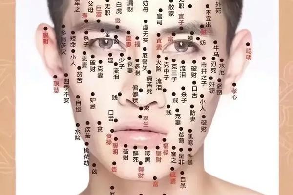 点痣相师免费阅读,点痣相师