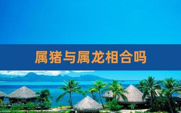 属龙与属猪相合吗(为什么龙和猪不能一家) 属龙与属猪相合吗(为什么龙和猪不能一家)