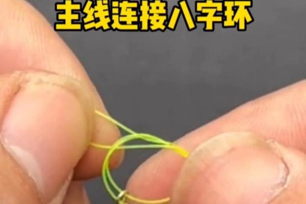 八字环主线