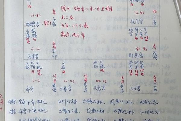 八字紫薇命盘