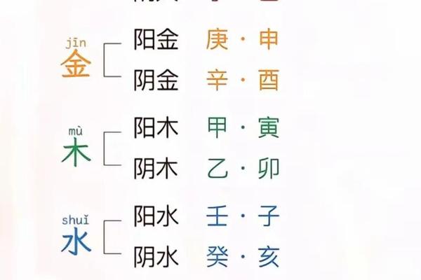 生辰八字与五行