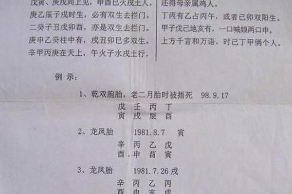 双胞胎八字