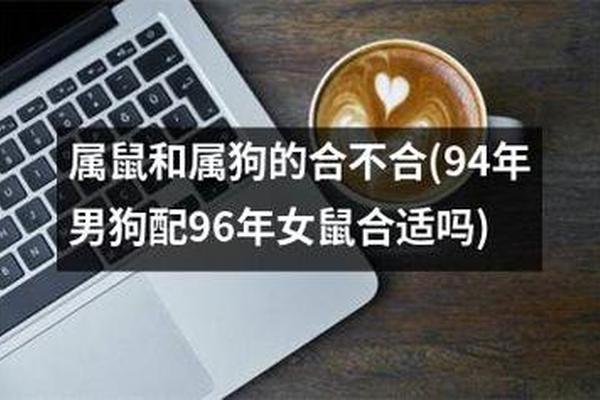 94狗女跟96鼠男婚姻合不合适