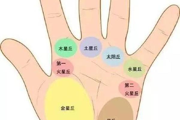 八字准还是手相准