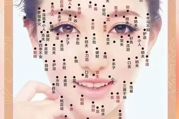 点痣相师155-点痣相师全文免费阅读