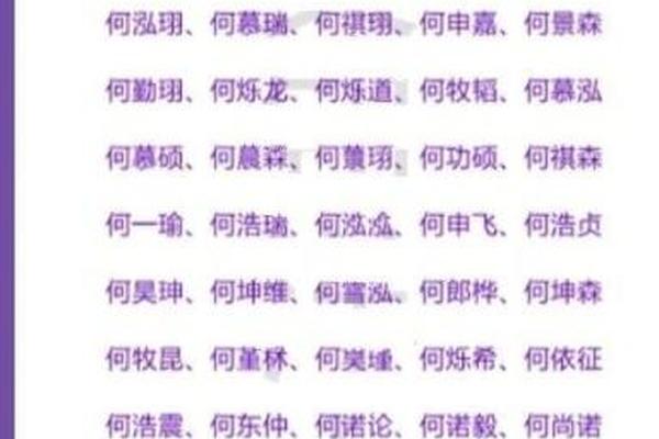 何姓男宝宝起名