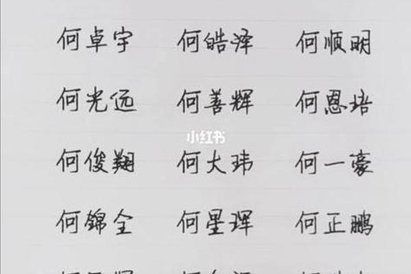 姓何宝宝起名