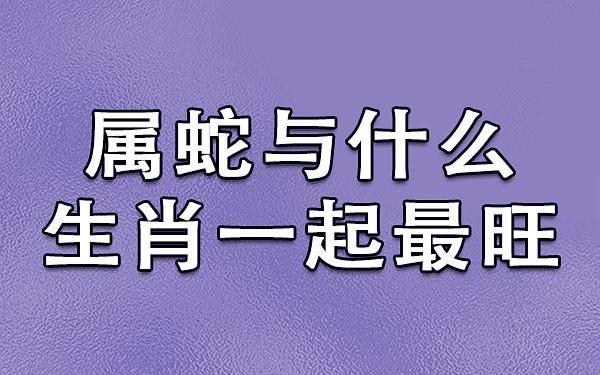 蛇和狗在一起谁旺谁,生肖狗的贵人属蛇 蛇和狗在一起谁旺谁,生肖狗的贵人属蛇