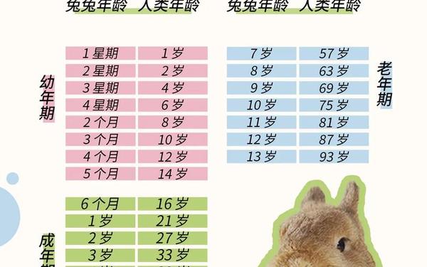 属兔都是哪年出生的 属兔都是哪年出生的