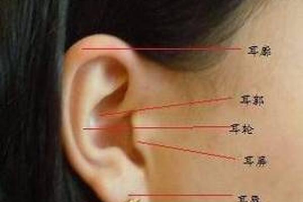 耳相痣图解 痣在耳朵图片大全