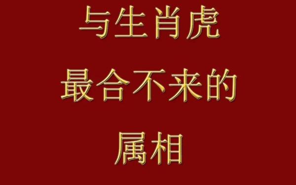下一年是虎年吗(虎年下去是什么年) 下一年是虎年吗(虎年下去是什么年)