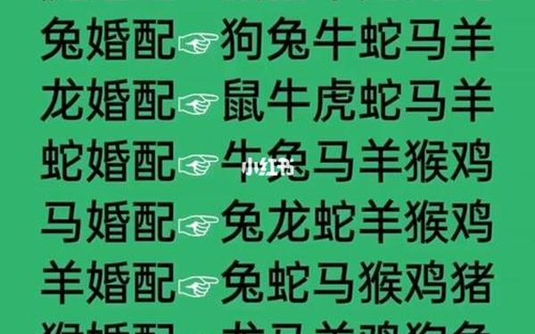 1982年属什么生肖配对最好 1982年属什么生肖配对最好
