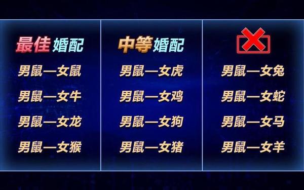 属鼠男和属马女合不合-鼠男和马女在一起后果 属鼠男和属马女合不合-鼠男和马女在一起后果