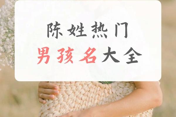 陈氏宝宝起名