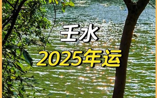属兔属水亦属金 属兔属水亦属金