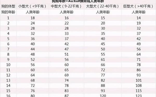 属狗的哪年出生年份表(属狗分别是哪一年的) 属狗的哪年出生年份表(属狗分别是哪一年的)