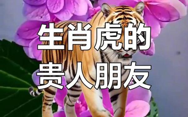 属虎和属龙能合作生意吗 龙和虎合作财运怎么样 属虎和属龙能合作生意吗 龙和虎合作财运怎么样