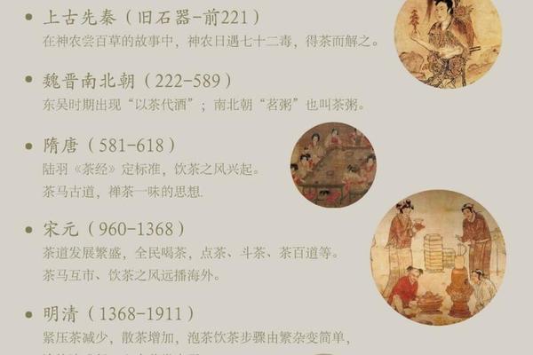 中国茶文化的起源与发展简介资料 介绍中国茶文化的历史和发展