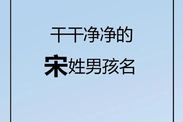 鸡宝宝宋姓起名大全