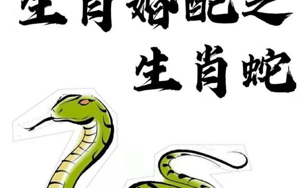 属蛇的最佳配偶是哪个生肖 属蛇的最佳配偶是哪个生肖