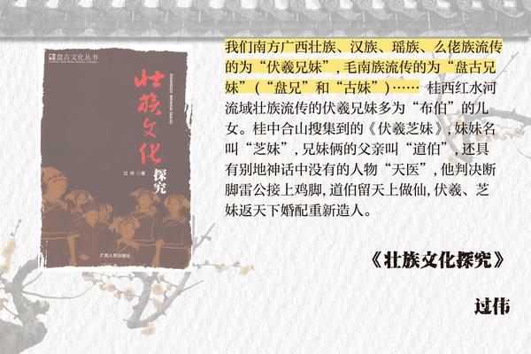 讲解壮族文化、壮族的历史文化