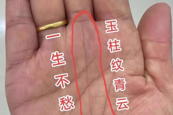 聚宝盆痣相旺夫益子 旺夫益子是好命吗