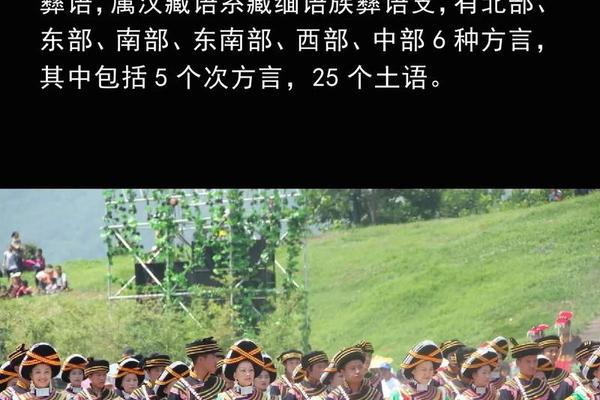 彝族文化概况,彝族文化图片